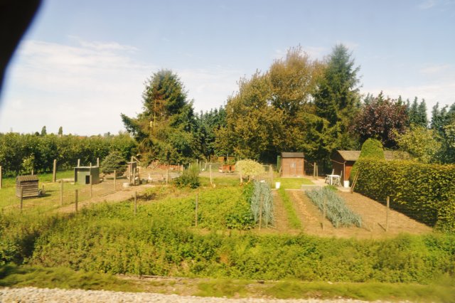 d110821k_0486.jpg