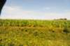 d110821k_0487_small.jpg