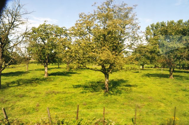 d110821k_0489.jpg