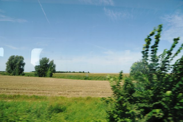 d110821k_0504.jpg