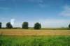 d110821k_0505_small.jpg