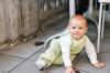 d110824k_0510_small.jpg