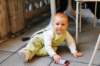 d110824k_0515_small.jpg