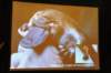 d110825k_0515_small.jpg