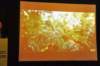 d110825k_0527_small.jpg