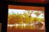 d110825k_0553_small.jpg