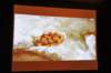 d110825k_0556_small.jpg