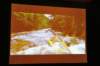 d110825k_0557_small.jpg