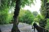 d110826k_0064_small.jpg