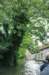 d110826k_0251_small.jpg