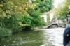 d110826k_0254_small.jpg