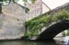 d110826k_0278_small.jpg