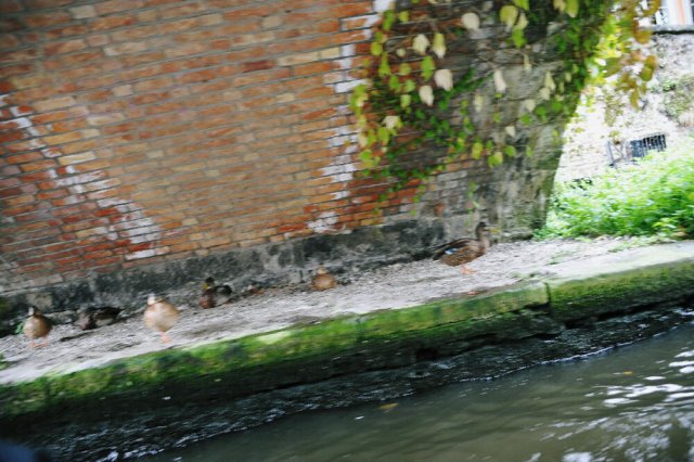 d110826k_0316.jpg