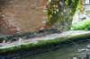 d110826k_0316_small.jpg
