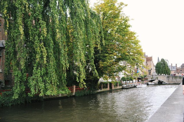 d110826k_0356.jpg