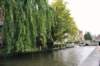 d110826k_0356_small.jpg