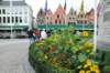 d110826k_0409_small.jpg