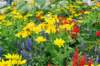 d110826k_0416_small.jpg