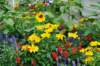 d110826k_0418_small.jpg