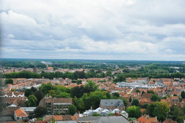 d110826k_0442.jpg