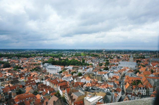 d110826k_0445.jpg
