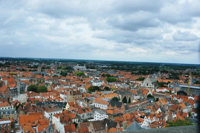 d110826k_0451.jpg