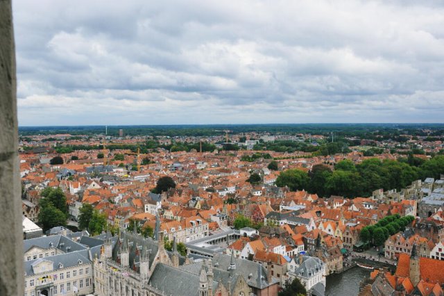 d110826k_0452.jpg