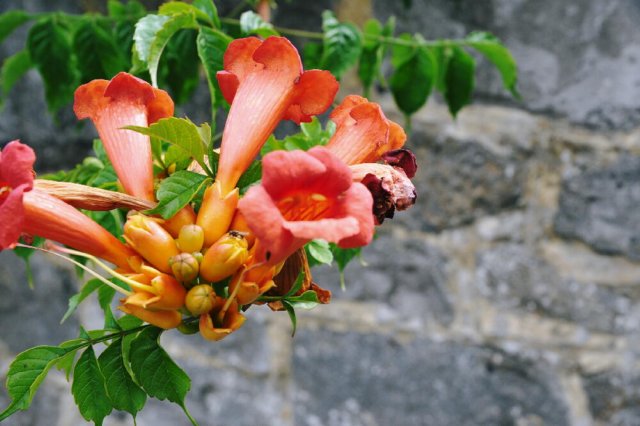 d110827k_0181.jpg