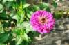 d110827k_0208_small.jpg