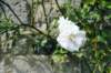 d110827k_0209_small.jpg