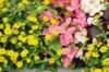 d110827k_0217_small.jpg