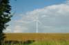 d110827k_0250_small.jpg