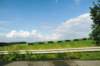 d110827k_0251_small.jpg