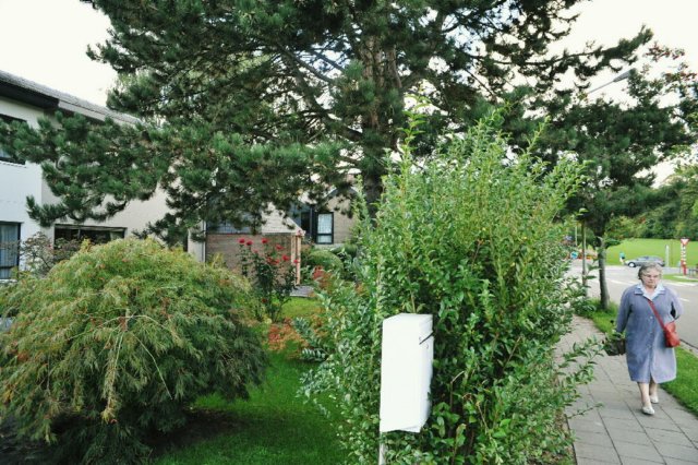d110827k_0270.jpg