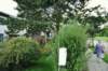 d110827k_0270_small.jpg