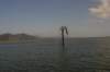 dsc_0687_small.jpg