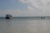 dsc_0709_small.jpg