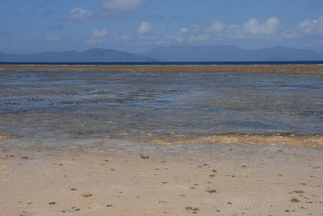 dsc_0712.jpg