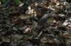 dsc_0713_small.jpg