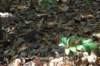 dsc_0716_small.jpg
