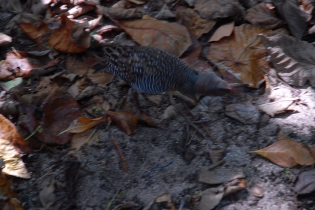 dsc_0719.jpg