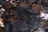 dsc_0719_small.jpg