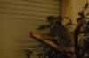 dsc_0967_small.jpg