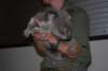 dsc_0979_small.jpg