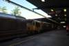 d120825k_0156_small.jpg
