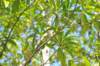 d120825k_0356_small.jpg
