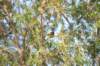 d120825k_0379_small.jpg