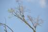 d120825k_0403_small.jpg
