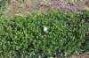d120825k_0413_small.jpg