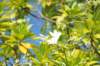 d120825k_0421_small.jpg